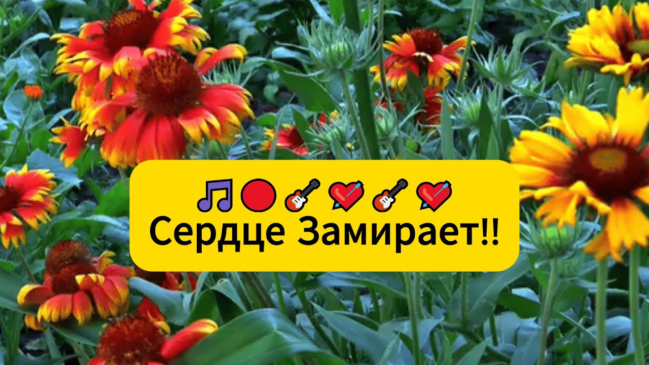 🎵 ХОЧЕТСЯ СЛУШАТЬ НЕ ВЫКЛЮЧАЯ 🔥💔🔴🎸