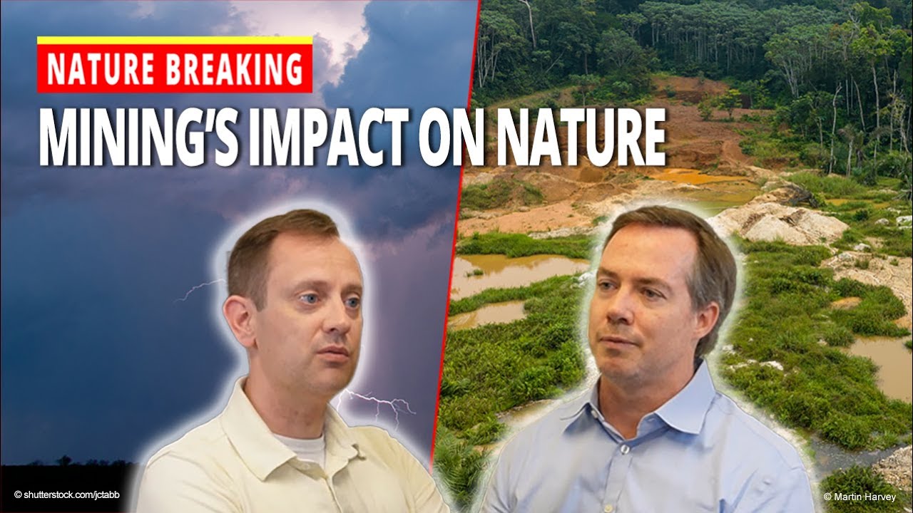 The Clean Energy Dilemma: Mining's Impact on Nature