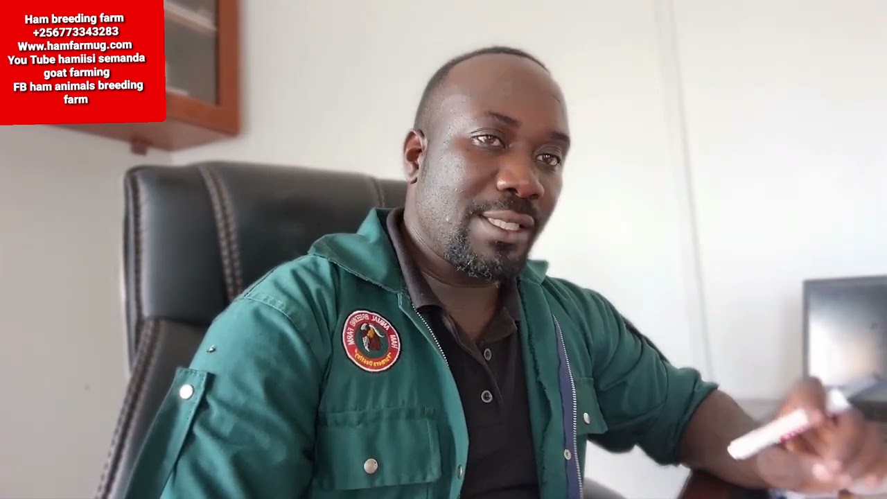 Tentative vaccination schedule for goats and cattle by hamiisi semanda +256773343283