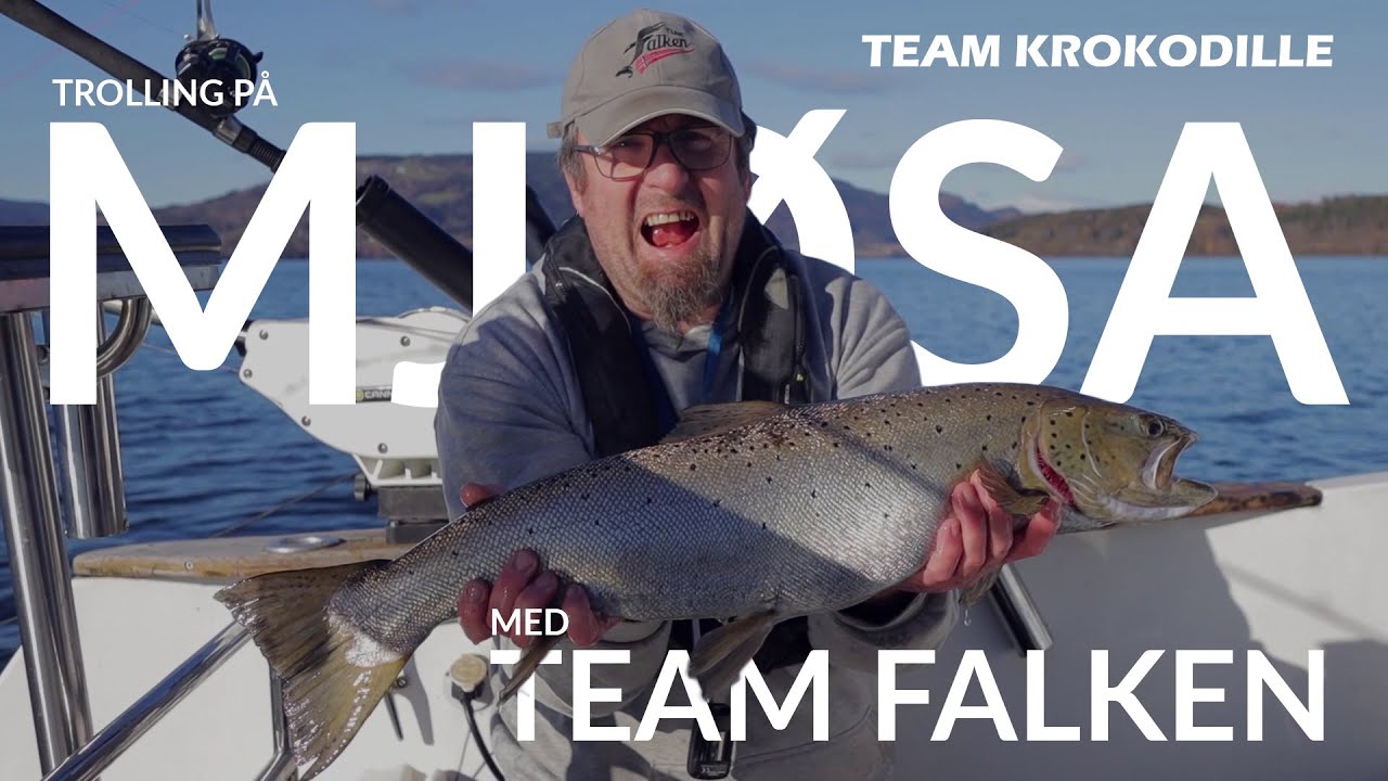 Trolling på Mjøsa  Med Team Falken