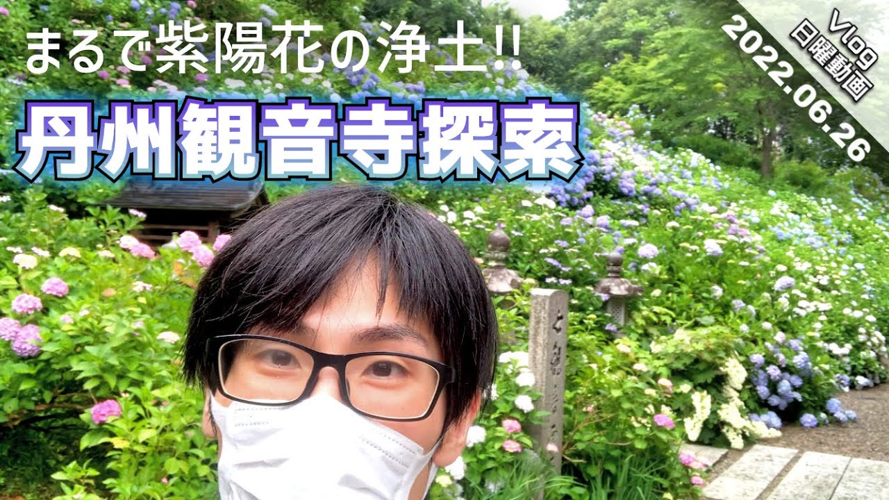 【Vlog特別編】見渡す限り紫陽花‼︎観音寺探訪  つらら庵の休日。2022.06.26