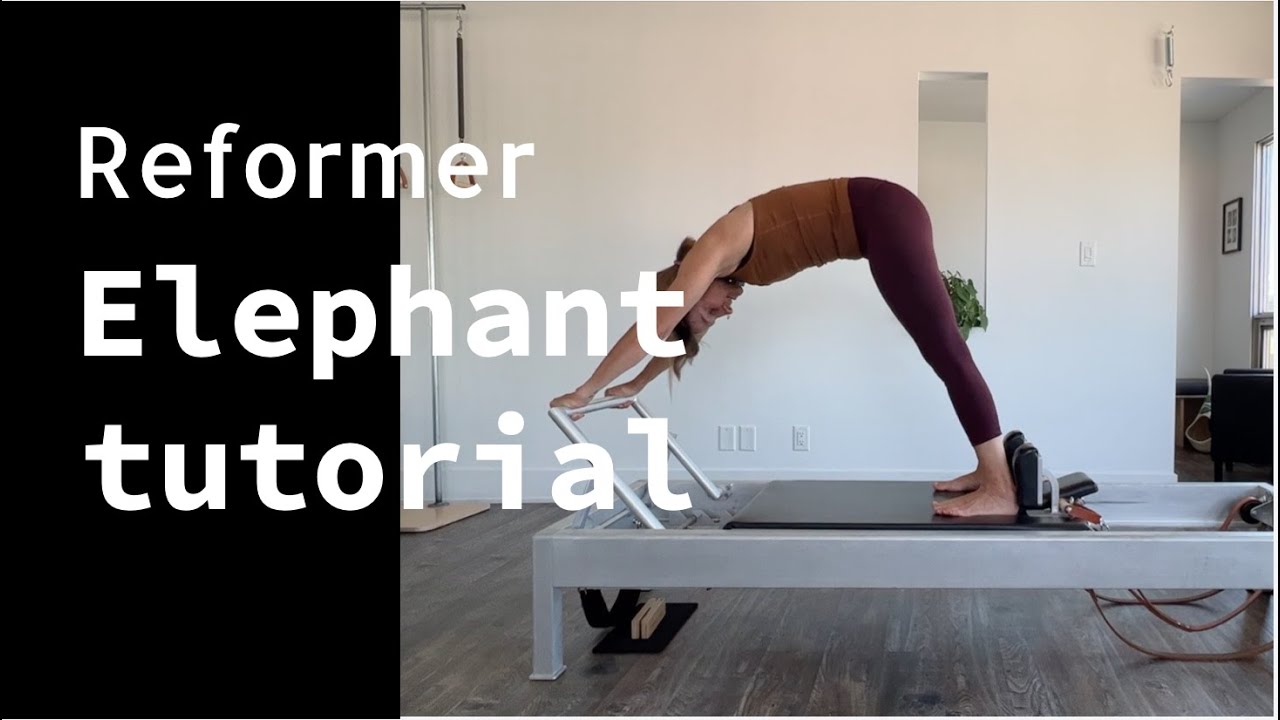 Long Stretch Series: Elephant