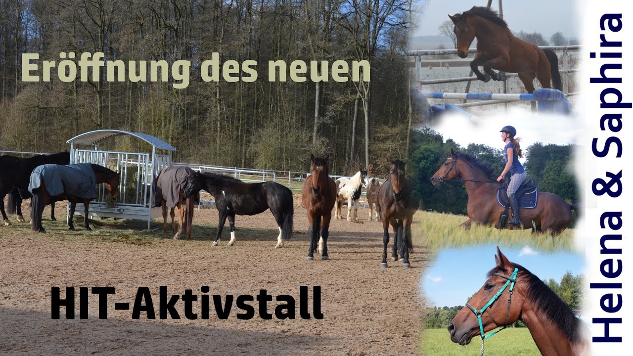 Er&ouml;ffnung HIT Aktivstall Limbachshof ||  Saphiras neues Zuhause