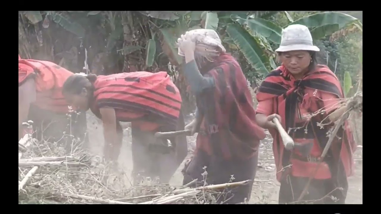The folk song that is sung during cultivation.