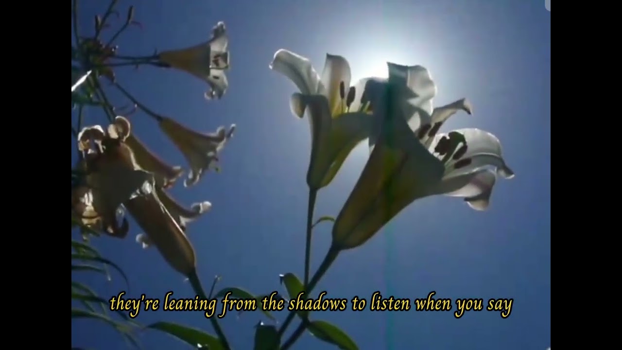 The flowers in the garden - (Official lyricvideo)
