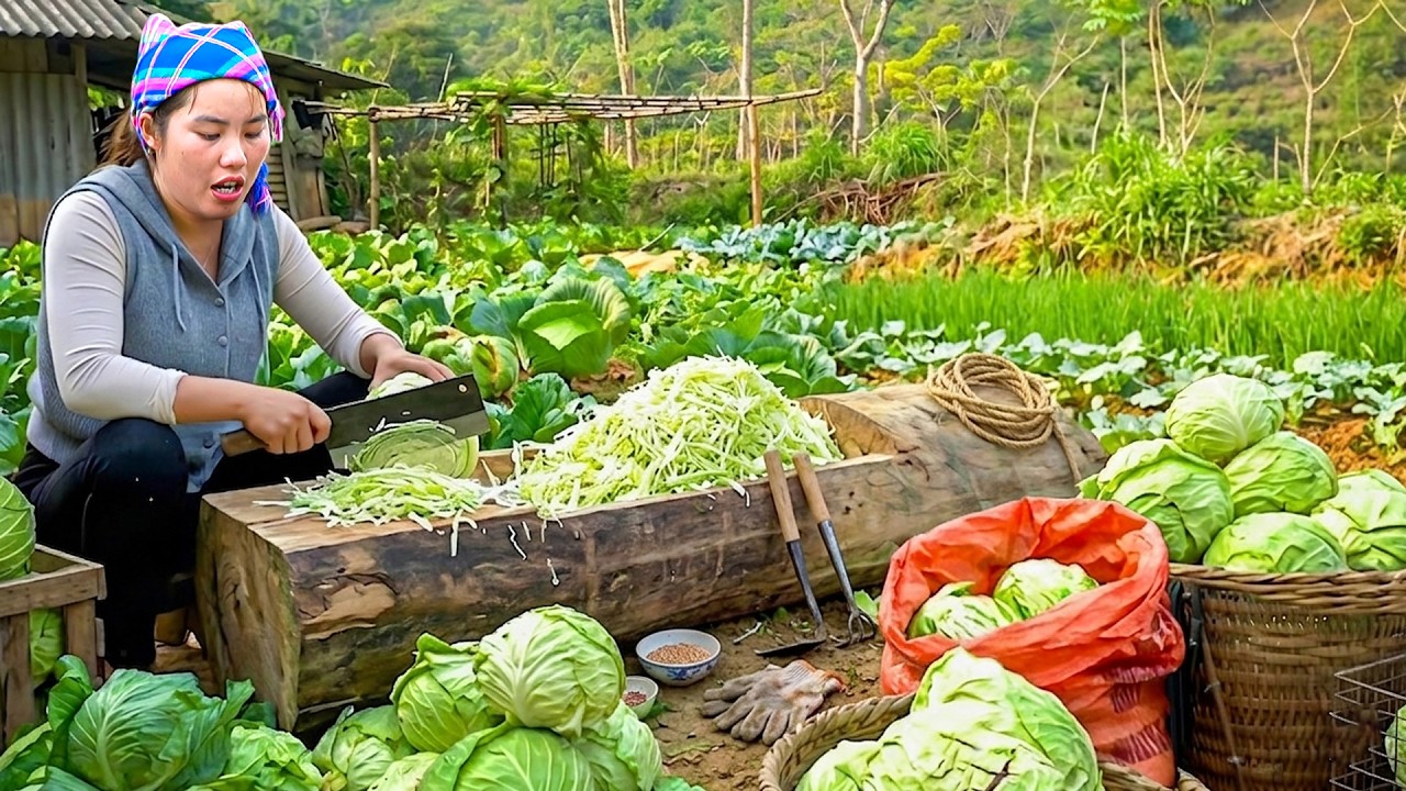 Harvesting Fresh Cabbages After the Rain with My Daughter and Son – Market Day and Warm Porridge