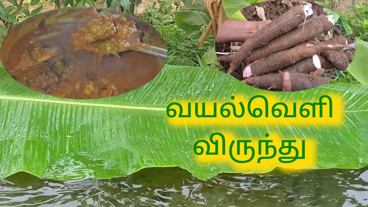 கறி விருந்து சமைத்து சாப்பிட போறோம்! 💯 #பசுமைமாடி#TamilVlog#DailyLife#TerraceGardenTamil#HomeCooking
