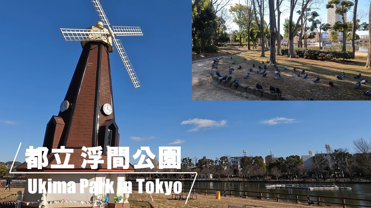 都立 浮間公園 / Ukima Park in Tokyo［4K］