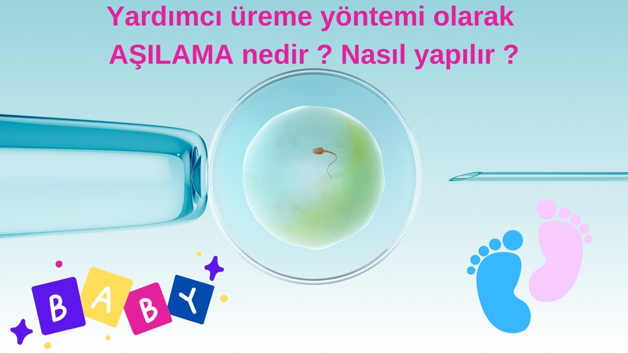Aşılama :  Erkek Sperminin kadının rahmine yumurtlama d&ouml;neminde  enjekte edilmesi | Dr. Alp Nuhoğlu