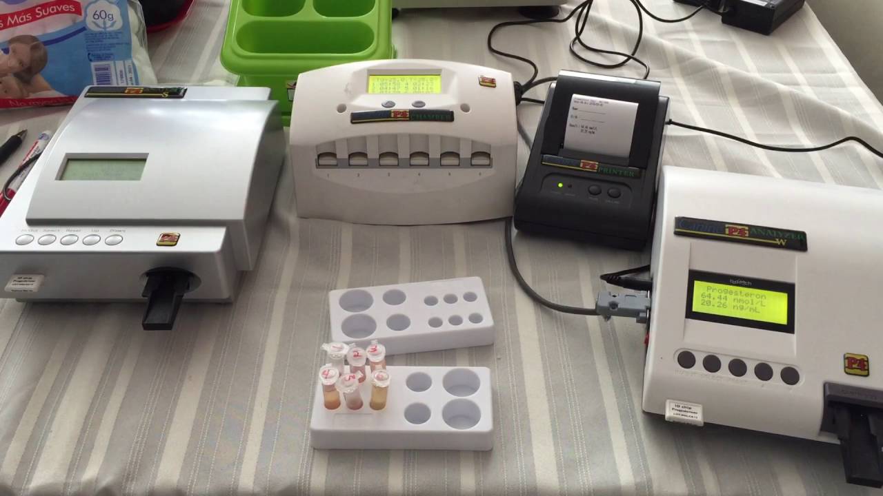 Canine P4 Progesterone Analyzer (786) 724-8761
