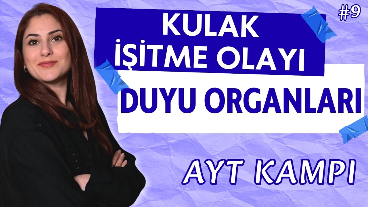 Kulak ve İşitme Olayı - Duyu Organları #9 - AYT 2026
