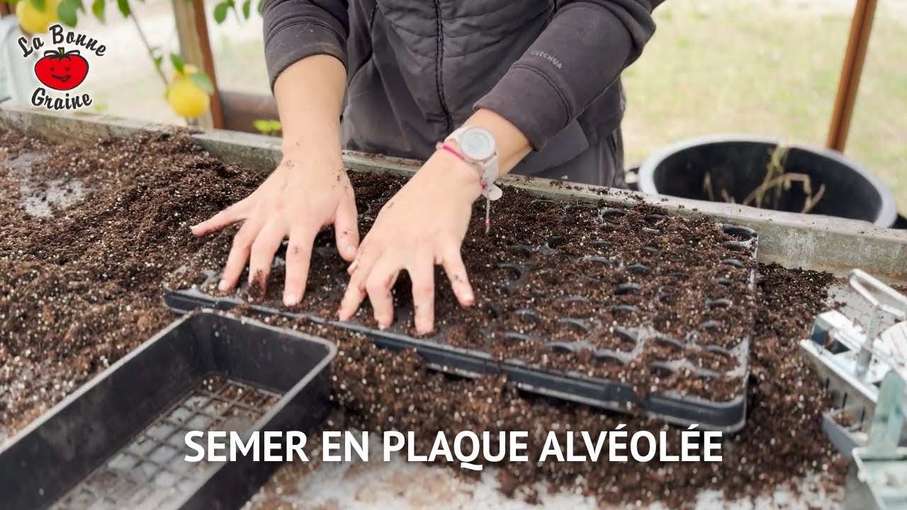 SEMER EN PLAQUE ALVÉOLÉE : conseils, choix du modèle et étapes clés