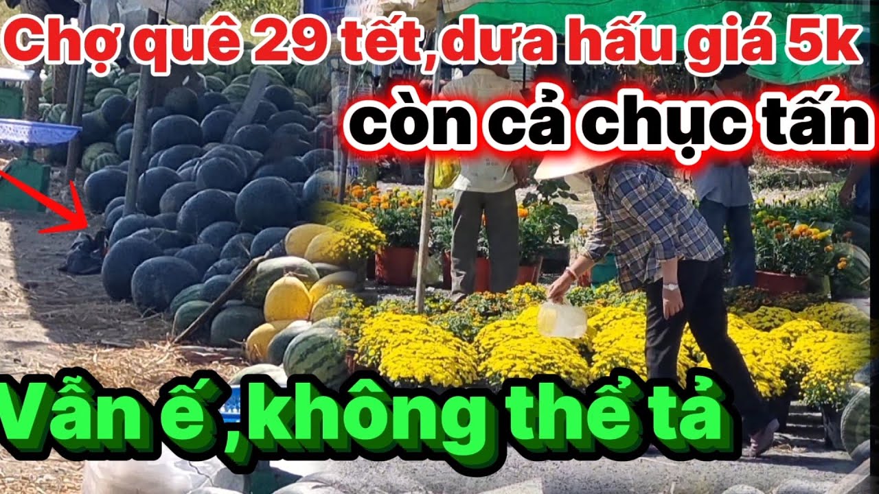 Chợ quê 29 tết , giá dưa hấu lao dốc còn 5k mà vẫn ế không thể tả