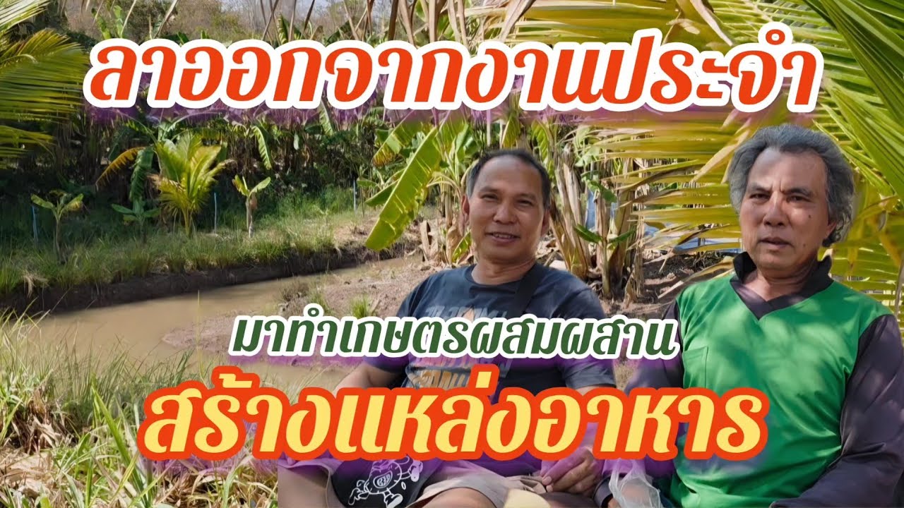 ลาออกจากงานประจำมาทำเกษตรผสมผสานสร้างแหล่งอาหาร@อ้ายวัช 