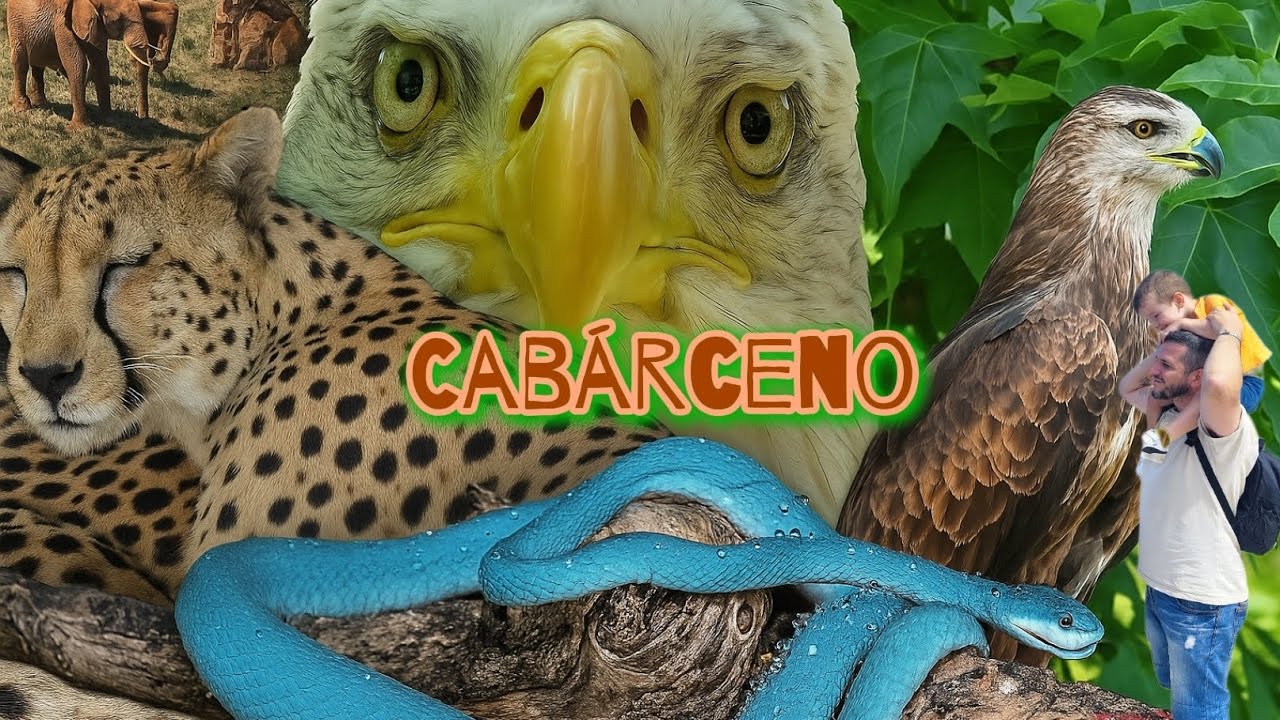 Cabárceno en 1 día: qué ver, cómo recorrerlo y mi experiencia completa.