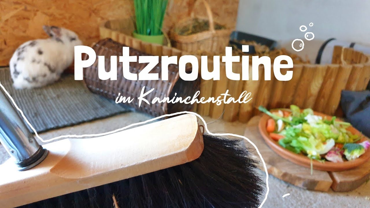 Kaninchstall ausmisten in 30 Minuten | Challenge