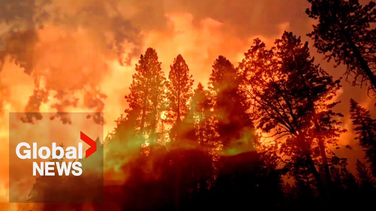 California wildfires: Nixon Fire prompts evacuations, Park Fire grows to size of LA