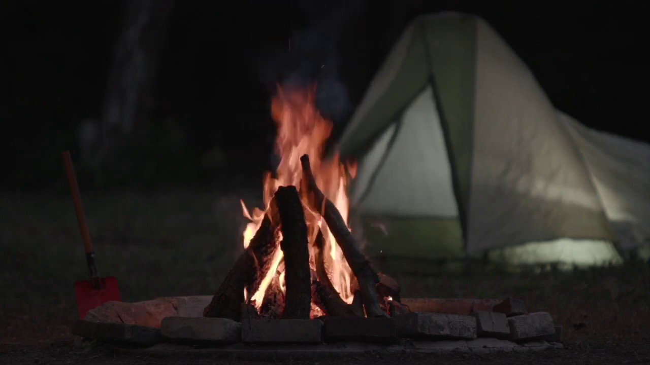 Crackling Campfire at Scout Camp - 1 hour of Relaxing Nature Sounds and Pedro the Mailburro