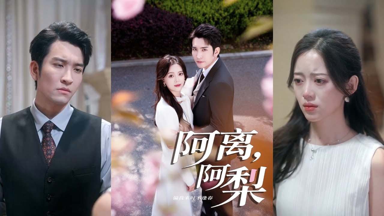 【完整版】王已歌&唐敬《阿离，阿梨》婚礼前夕，女人撞见未婚夫偷情，才知三年柔情是骗局！#短剧 #完結 #蔓蔓書屋 #大结局