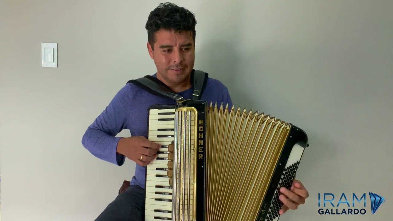 Acordeón Hohner Concerto III - En venta