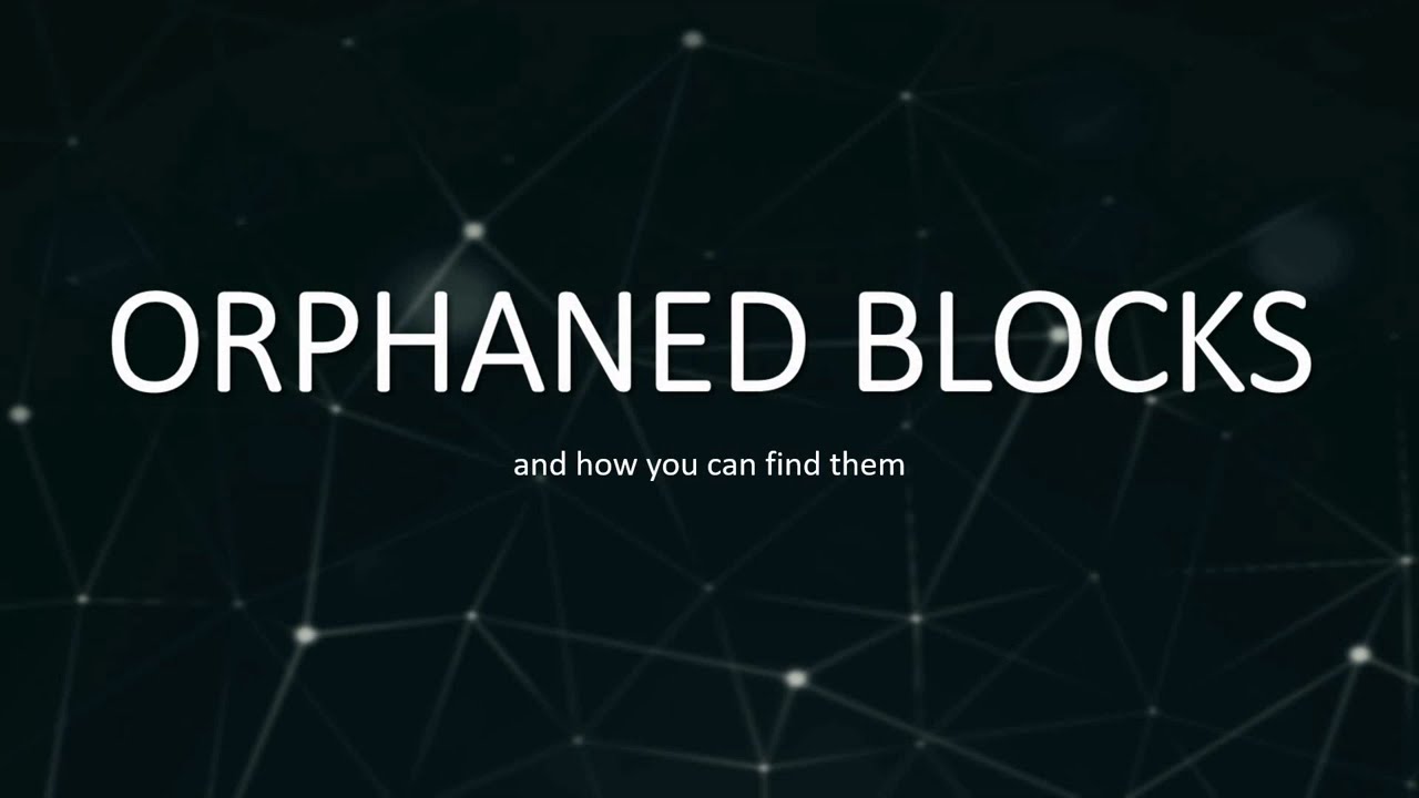 Orphaned Blocks Live Demo (Dogecoin)