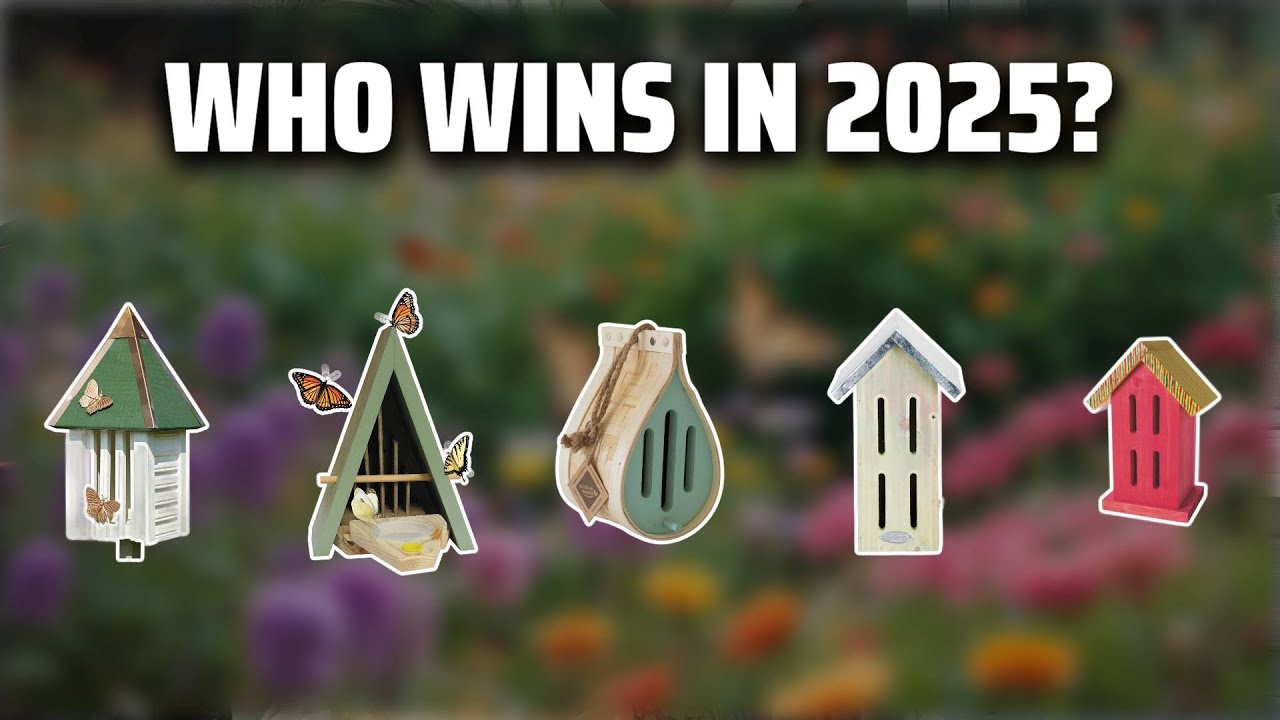 The Top 5 Best Butterfly House in 2025 - Must Watch Before Buying!