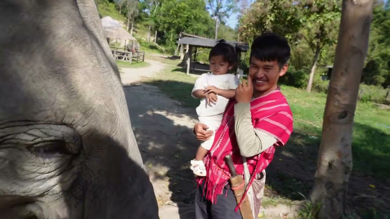 Karen tribe native elephant 🐘. Chiang Mai 
