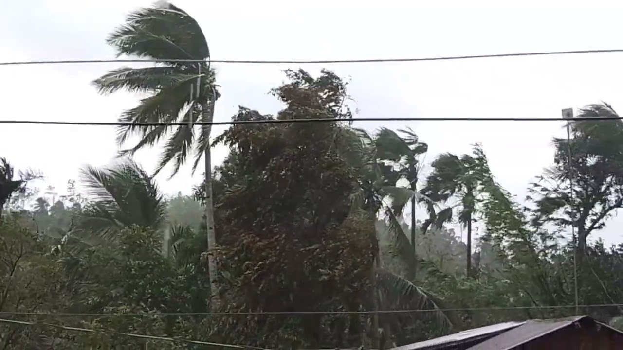 November 9, 2025