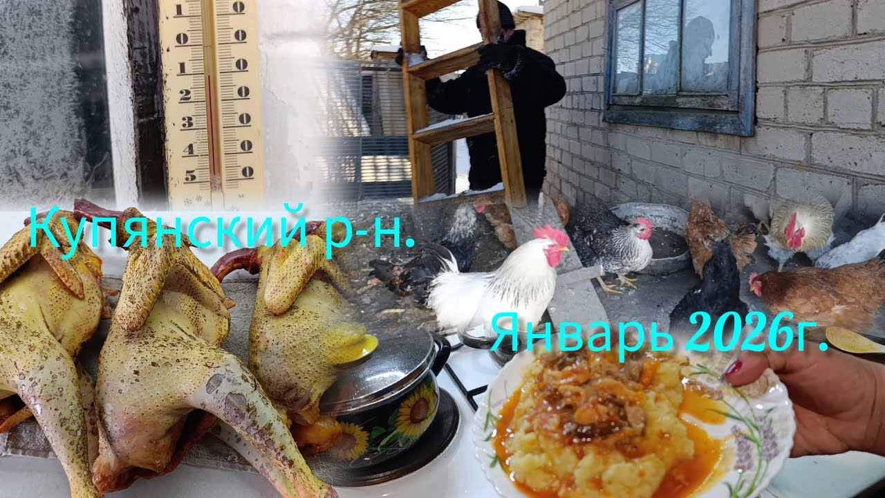 Наша жизнь как есть!Живём как можем!