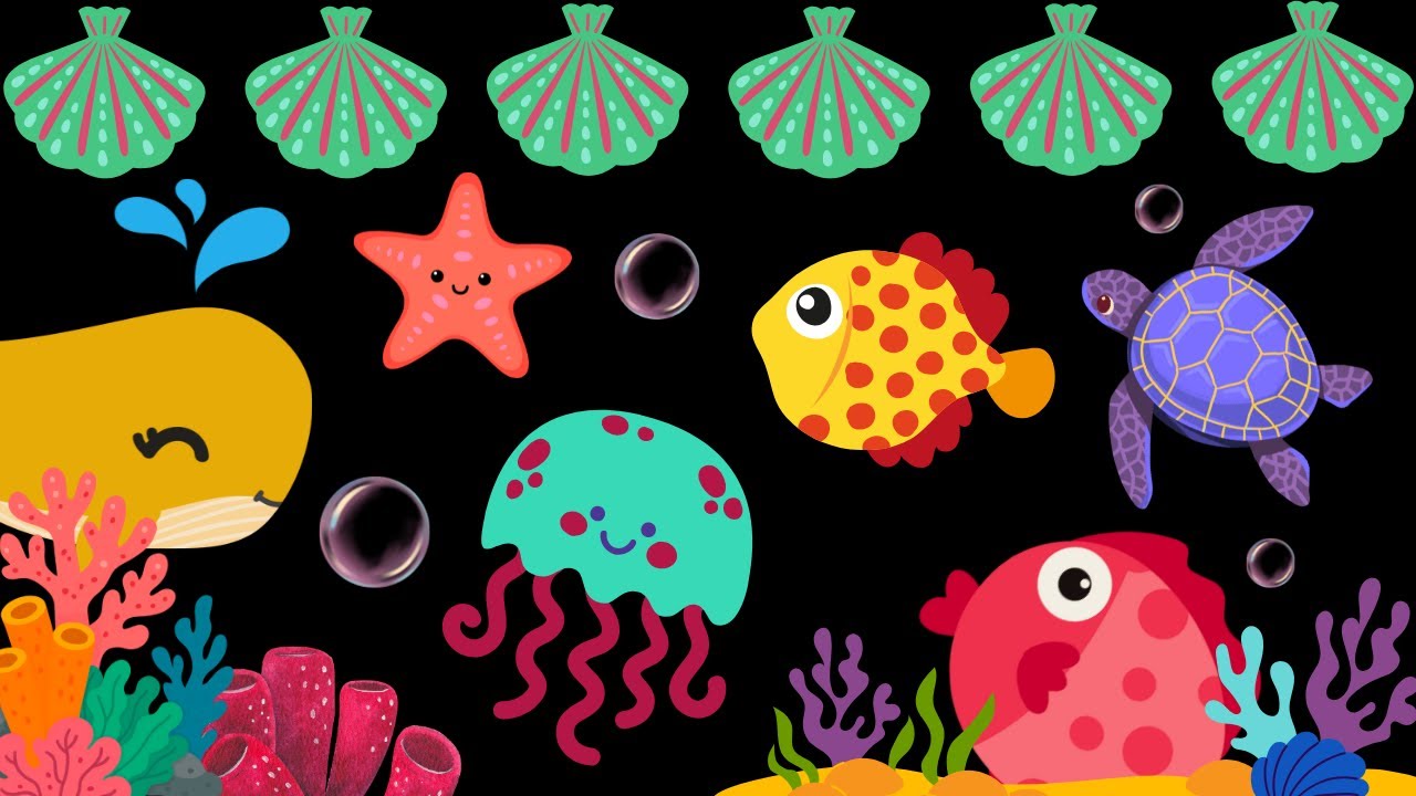 Baby Sensory Video - High Contrast - Sensory Videos for Babies - Visual Stimulation for Newborn