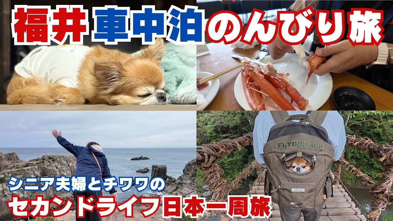 【長編旅】シニア夫婦とチワワの福井ぐるっと旅/犬連れでゆっくり巡る記録