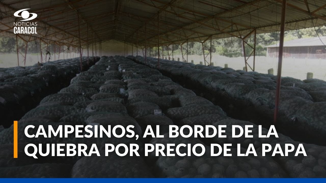 Campesinos en Boyacá enfrentan crisis por caída en el precio de la papa