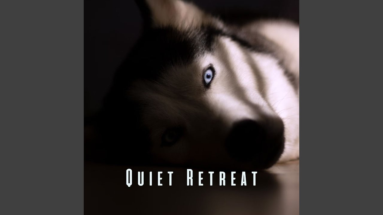 Mindful Pet Harmony