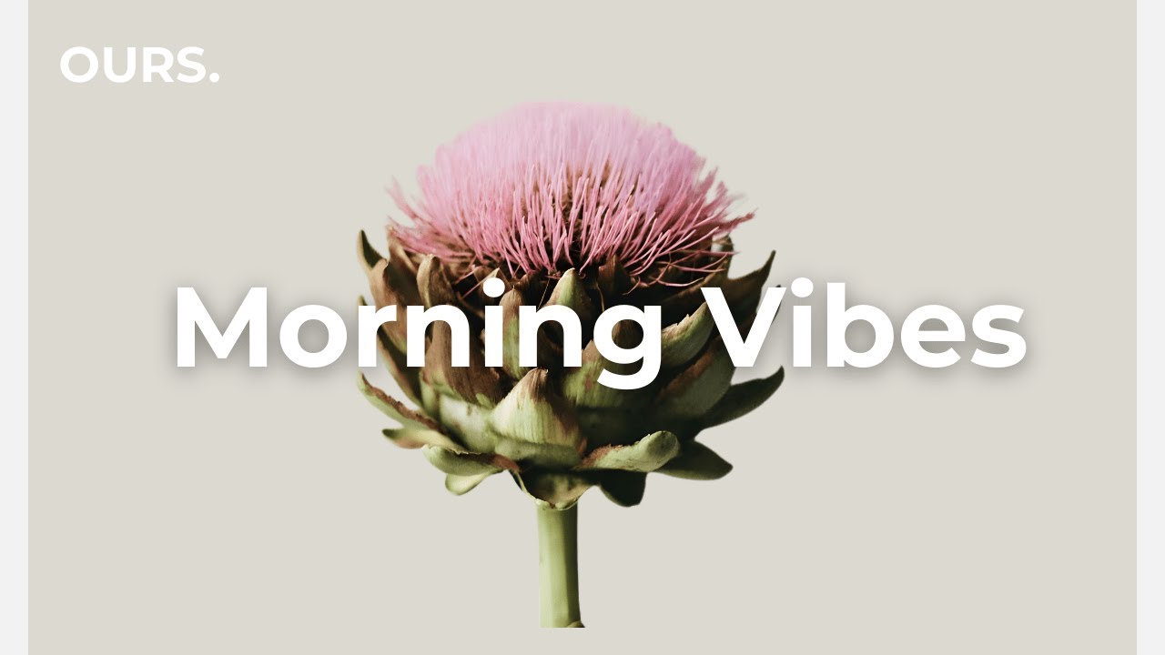 Chill House for a Calm Focus — LIVE