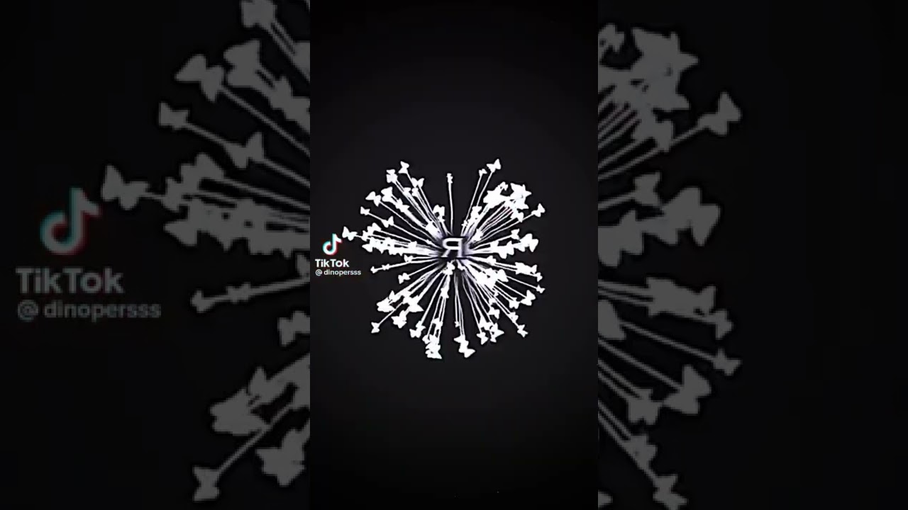 🎀~футажи из тик тока ~🎀