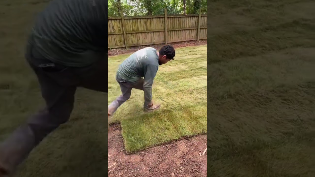 Installing sod. Huge transformation