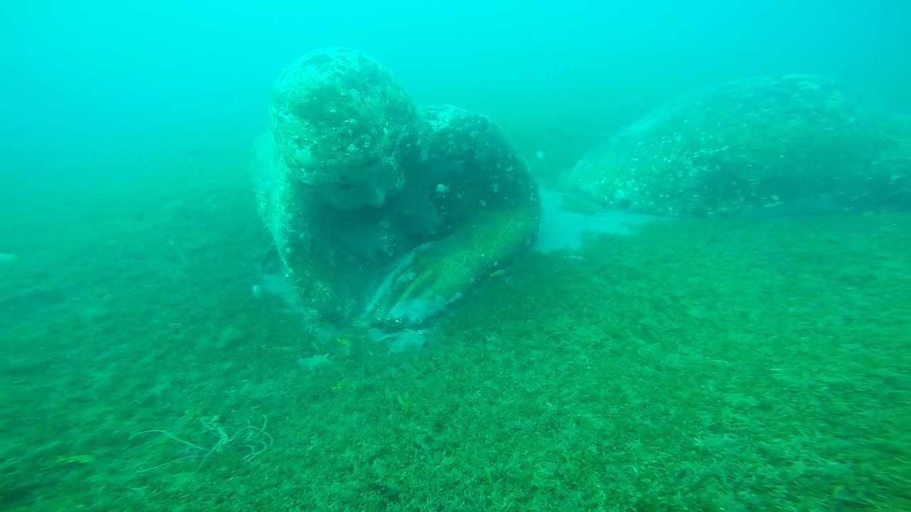 Ep 3 : Finally Arrived to Martinique -  Underwater Statues | Sailing Nala