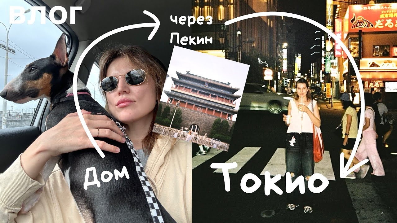 22. Часть 1. Сборы в Японию, пересадка в Пекине и первые дни в Токио 🇯🇵