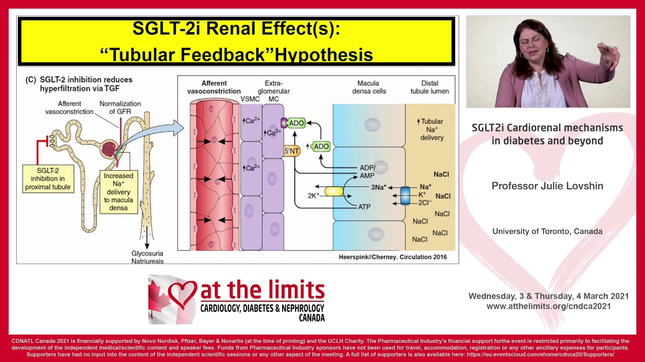 Dr Julie Lovshin - SGLT2i Cardiorenal mechanisms in diabetes and beyond - full presentation