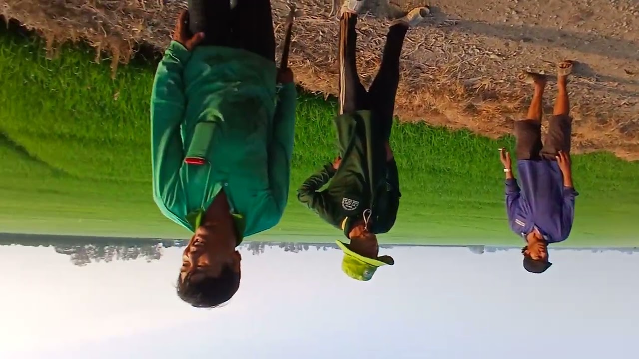 Bạch Đằng vành 180 gần 200 Hoành nguyên một hàng cây