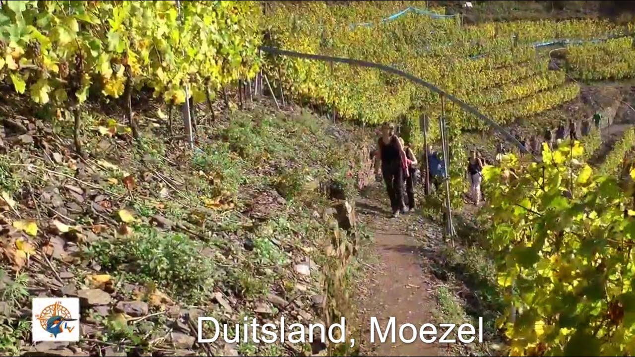 Wandelen langs de Moezel