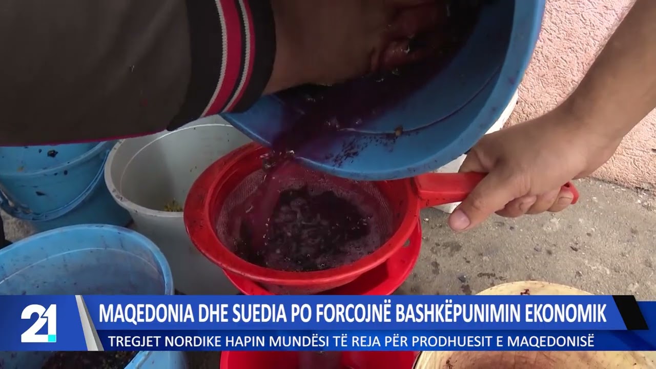 Maqedonia dhe Suedia po forcojnë bashkëpunimin ekonomik!