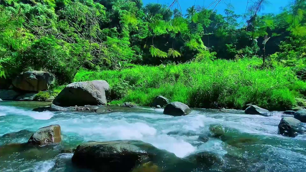 Mountain Stream Soft Water Flow, Forest River Audio, Sleeping