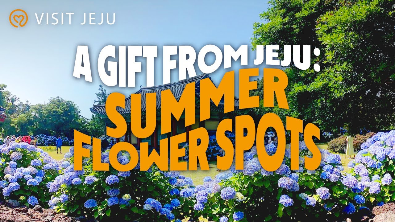 A Gift From Jeju Island: Great Summer Flower Spots