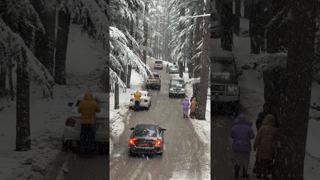 Heavy Snowfall Started in Kalam Valley
