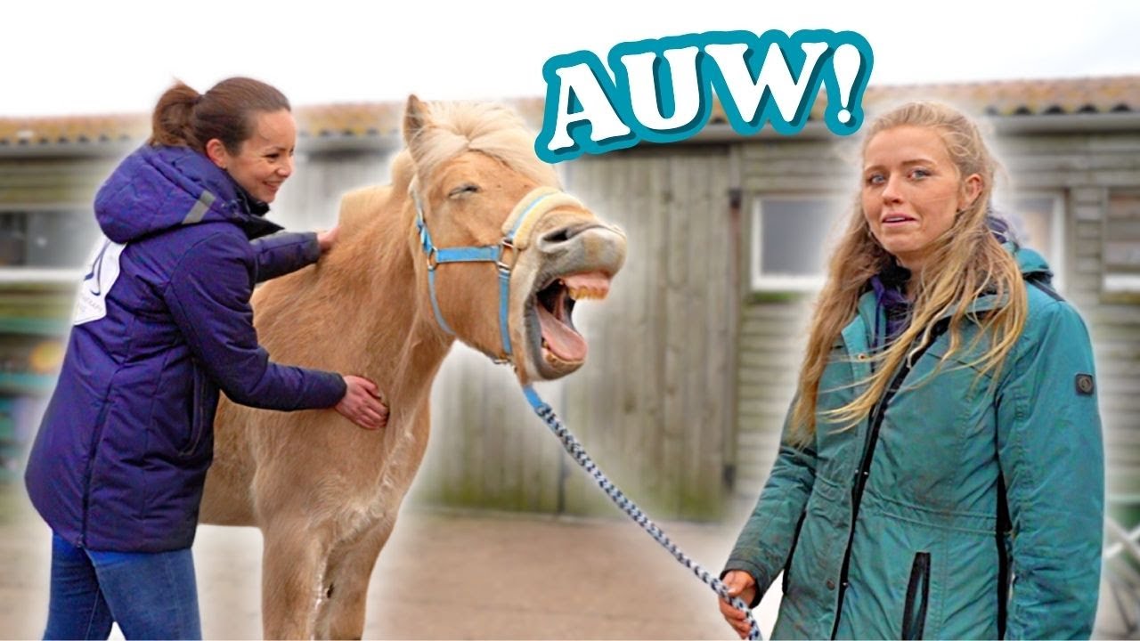 Waarom heeft Moos (paard) pijn volgens de fysiotherapeut? 😰💥