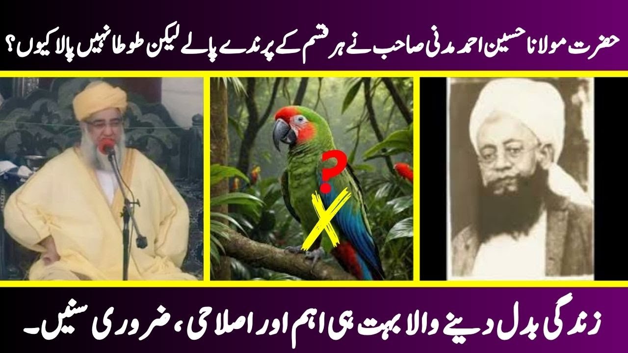 Why Did not Maulana Hussain Ahmad Madani Sab rear a Parrot? - by Mufti Zarwali Khan Sab