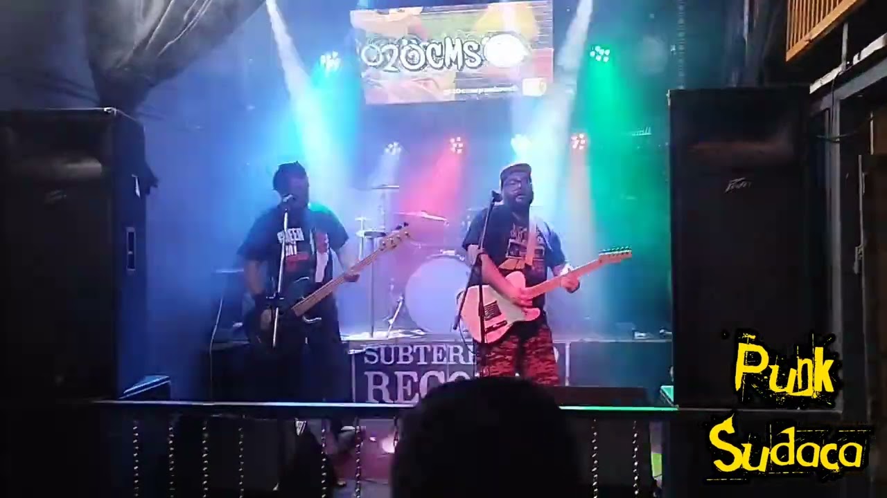 20cms - Chancho con peluca (Santiago 18.11.2023)