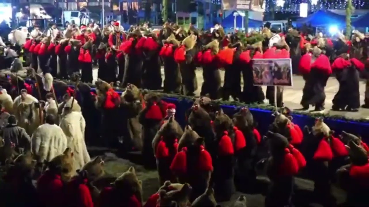 Ursul din Vermesti la Festivalul din Coamnesti 20