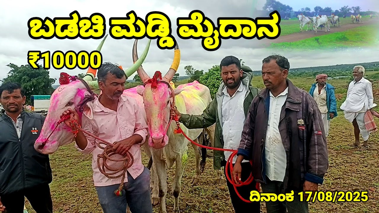 ಬಡಚಿ ಮಡ್ಡಿ ಮೈದಾನ